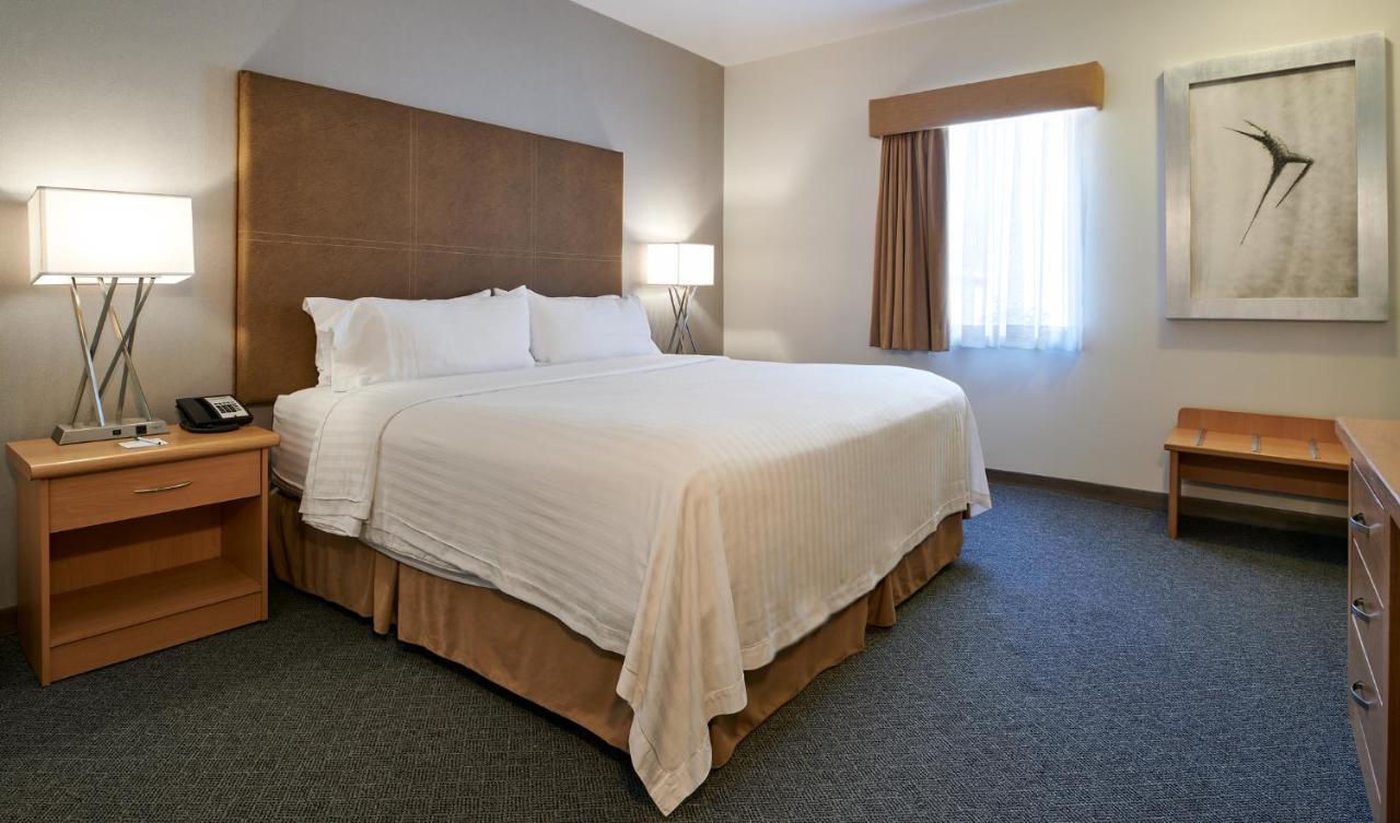 Holiday Inn Hotel & Suites Chihuahua By Ihg Eksteriør billede